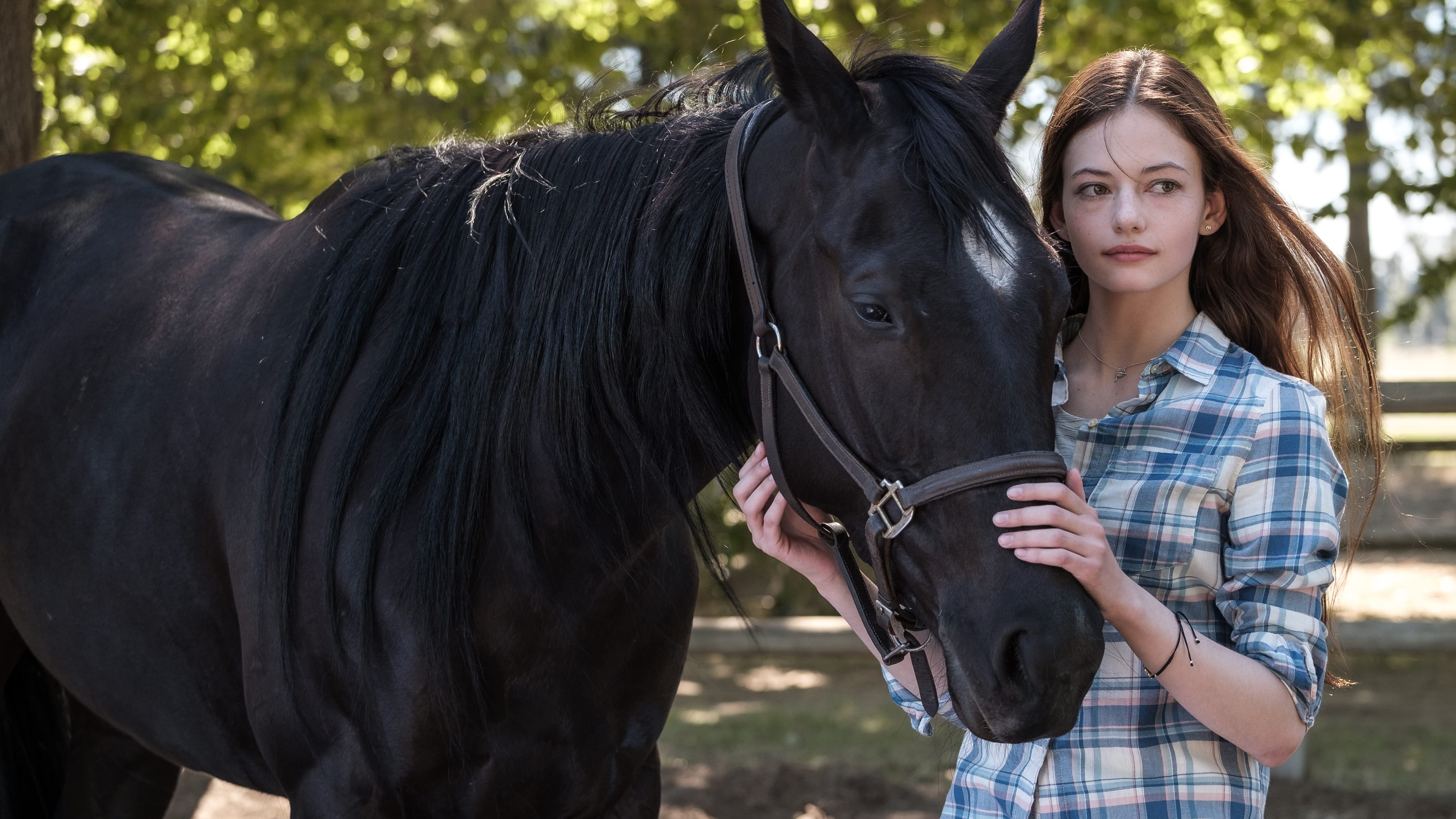 Black Beauty (2020) - IMDb