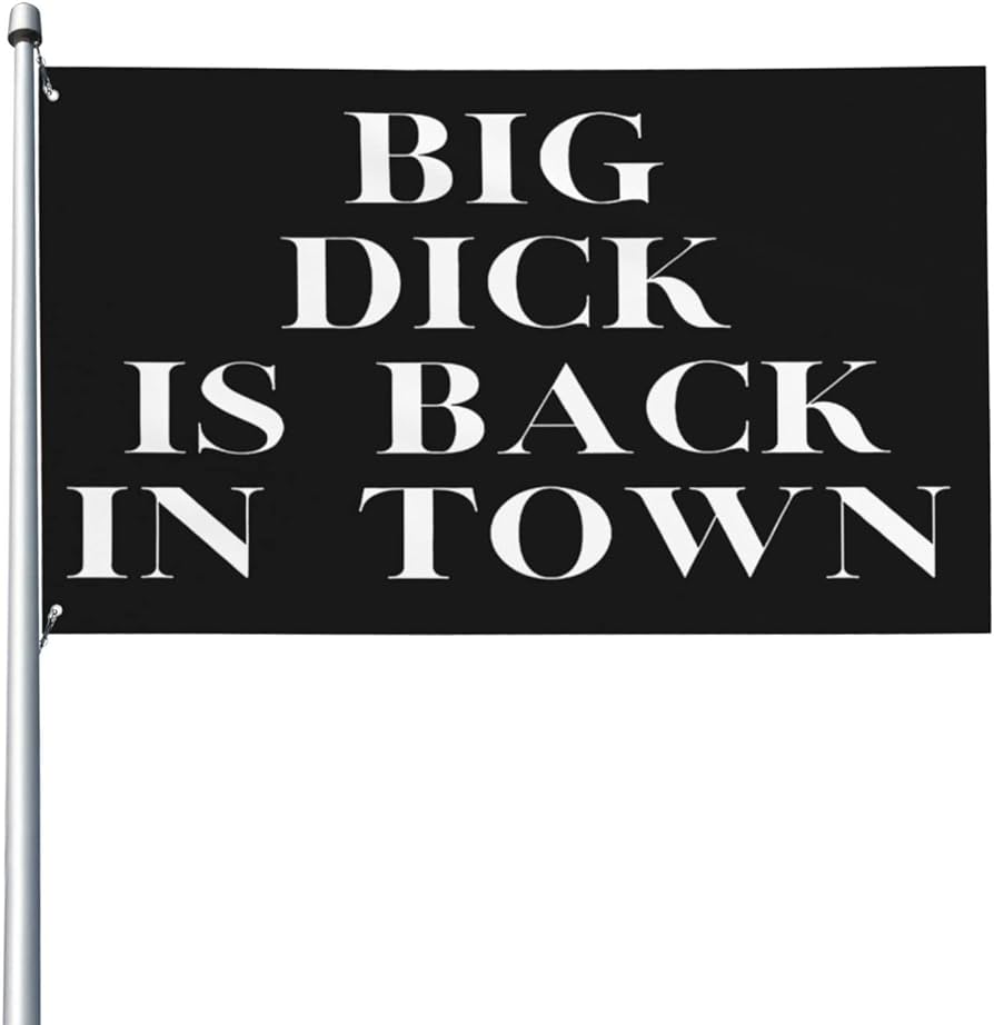 Amazon.com : Big Dick Is Back In Town Flag 3 X 5 Ft Flag Outdoor ...