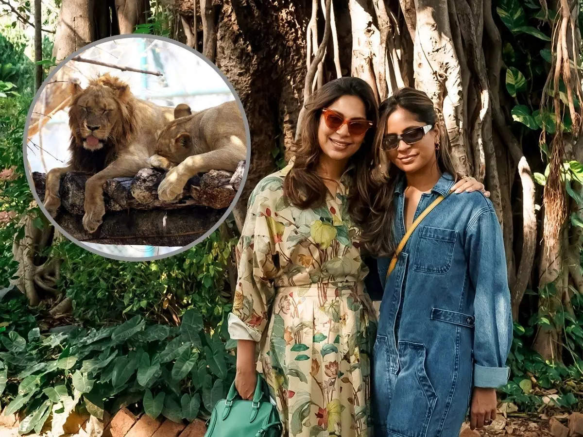 Social entrepreneur Upasana Kamineni Konidela adopts two lions at ...