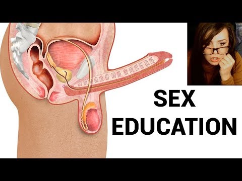 Sex Education Stream - YouTube