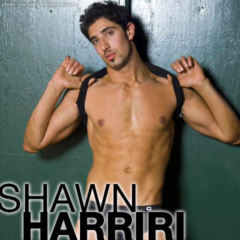 Shawn Harriri | Handsome Nude Model and Solo Performer Gay Porn ...