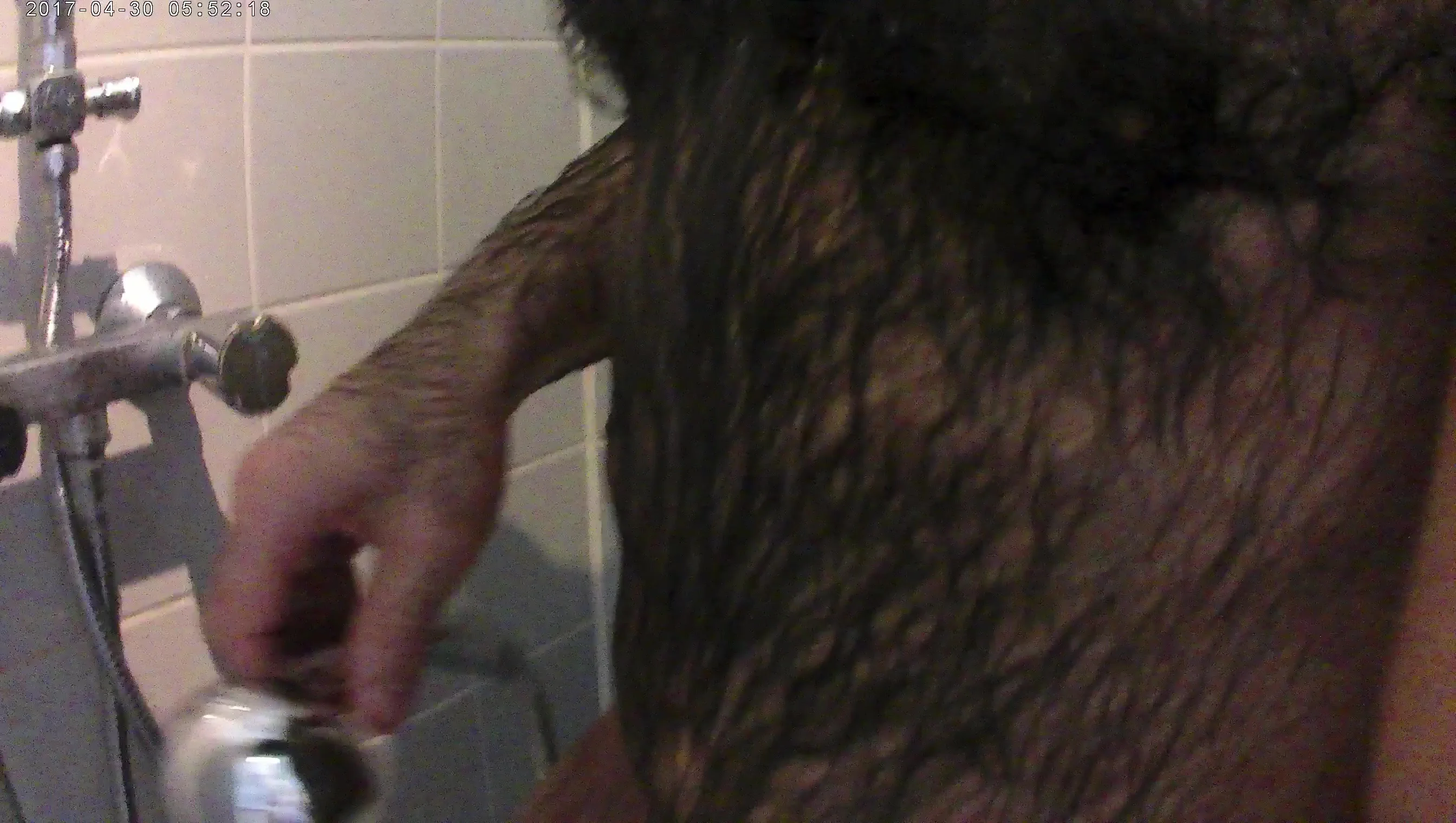 Gay hairy arab under my shower - ThisVid.com