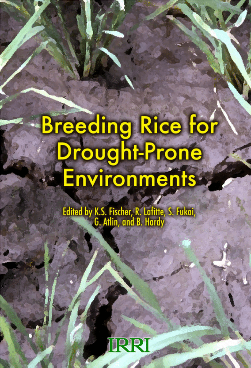 PDF) Using secondary traits to help identify drought-tolerant ...