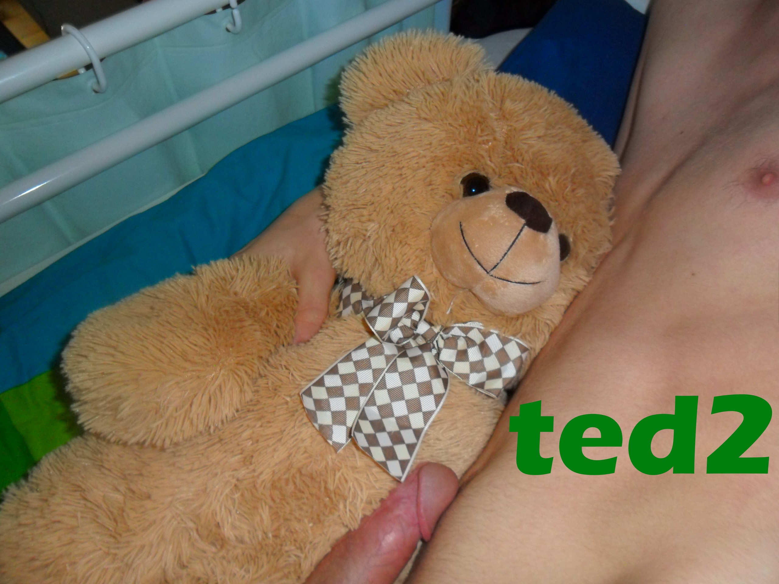 Ted 2 - gay bizarre porn at ThisVid tube