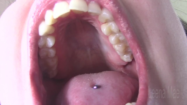 Hard Palate and Teeth | Modelhub.com