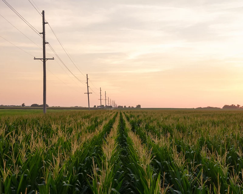 Hundreds of Workers Have Died From Heat in the Last Decade – And ...