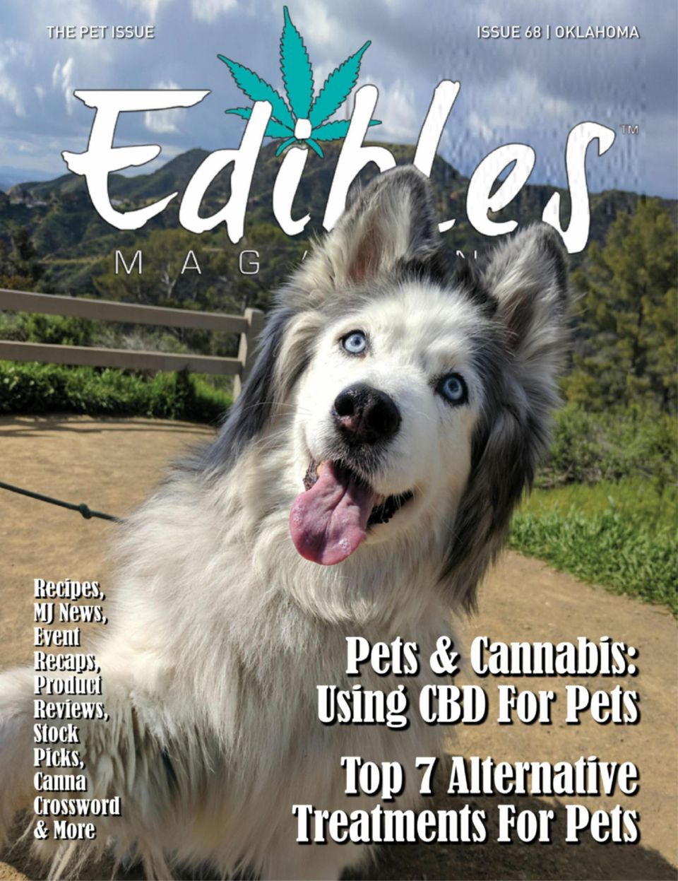 Edibles Magazine Magazine - Get your Digital Subscription