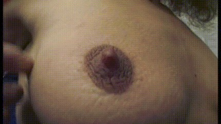 Big Nipple Porn Gif | Pornhub.com