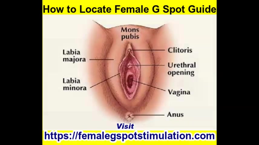 Female G Spot Techniques and Positions - uiPorn.com