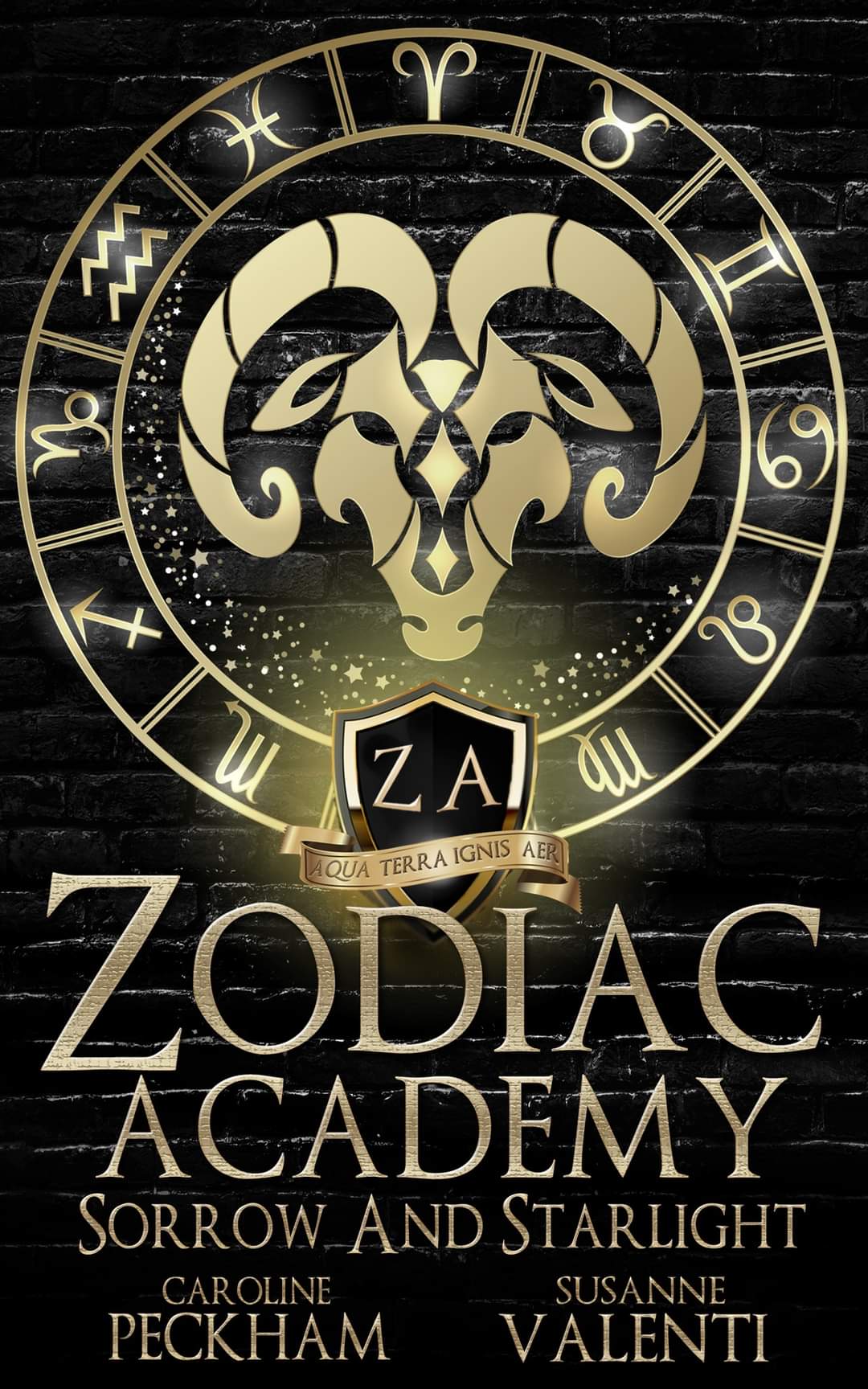 Sorrow and Starlight (Zodiac Academy, #8) by Caroline Peckham ...