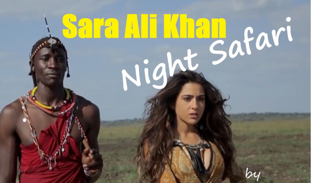 Hindi] Sara Ali Khan - Night Safari - Great Compilation DeepFake ...