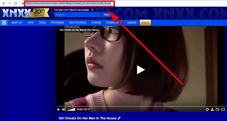 Best 3 XNXX Downloaders to Save Videos from xnxx.com Fast, Easily ...