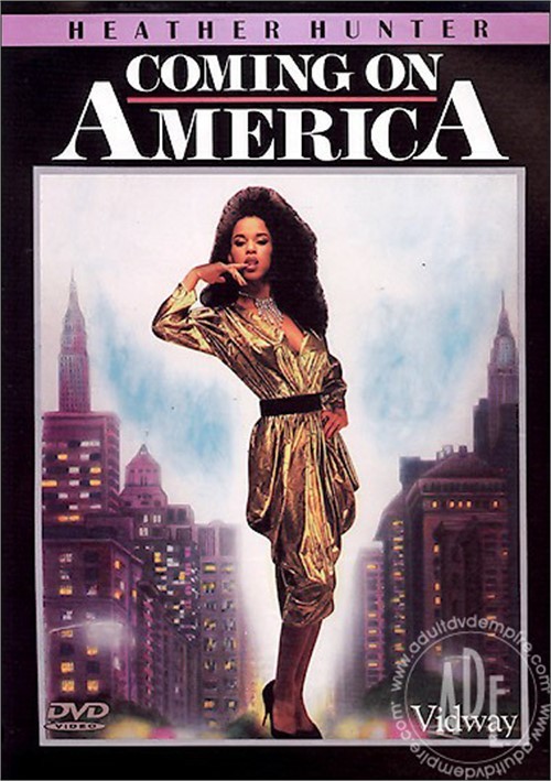 Coming On America | Global Media | Adult DVD Empire