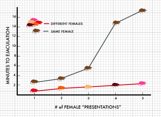 Halkaan ka bilow: Evolution uma uusan diyaarin maskaxdaada ...