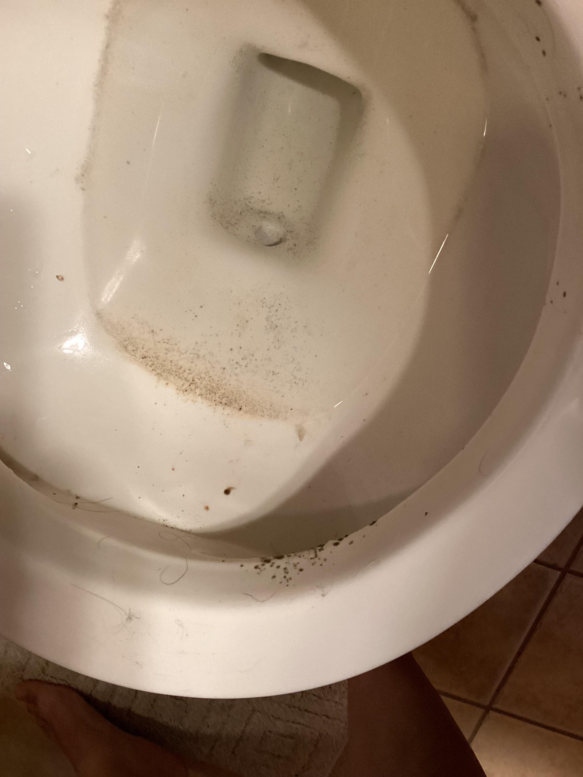 Mold in toilet keeps coming back. Is it in the water or something ...