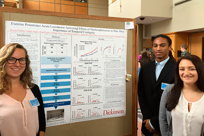 Research Presentations | Dickinson College