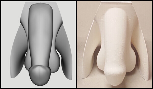 Researchers Want to Use 3D-Printed Genitals to Teach Blind ...