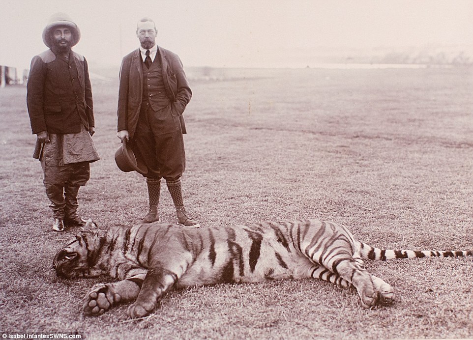 Photos from King George V's 1911 India hunting show him with dead ...