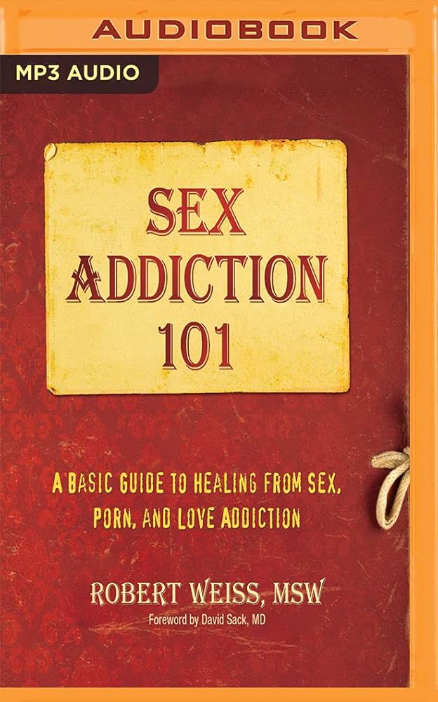 Sex Addiction 101: A Basic Guide to Healing from Sex, Porn, and ...