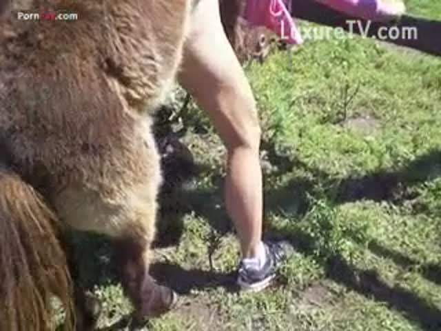 Wild farm sex as donkey has sex with a kinky woman - LuxureTV