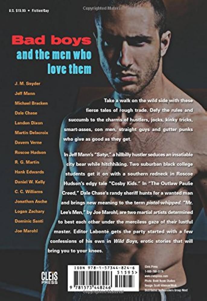 Wild Boys: Gay Erotic Fiction: Labonté, Richard: 9781573448246 ...