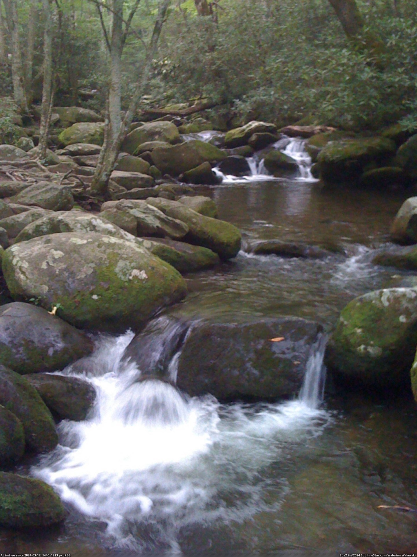 Pic. #Nature #Usa #Creek #Roaring #Gatlinburg #Trail #Tennessee ...