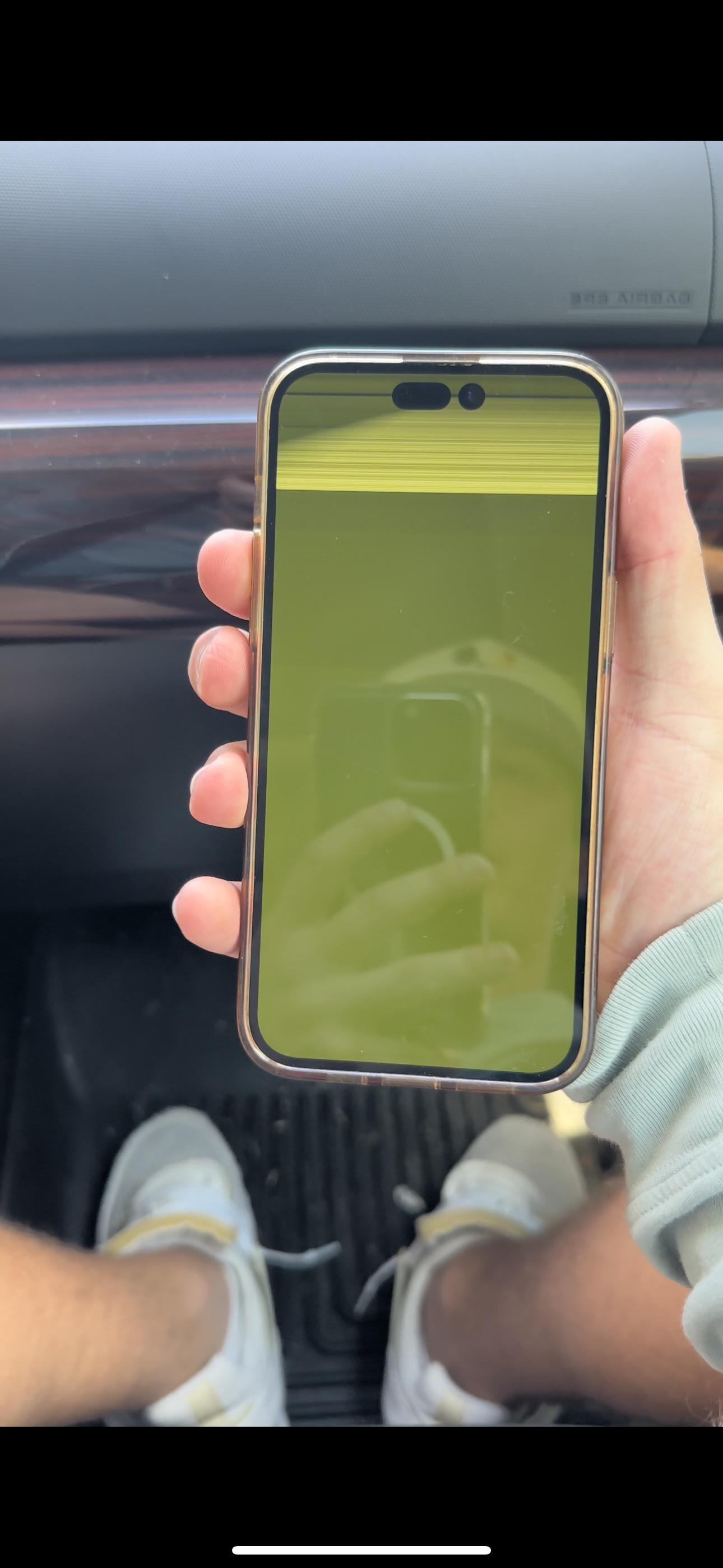 Woke up and IPhone 14 pro max Screen just flashes green (factory ...