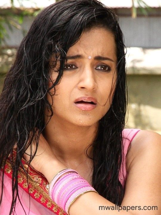 ✓[375+] Trisha Krishnan HD Images & Wallpapers (540x720) (2019)