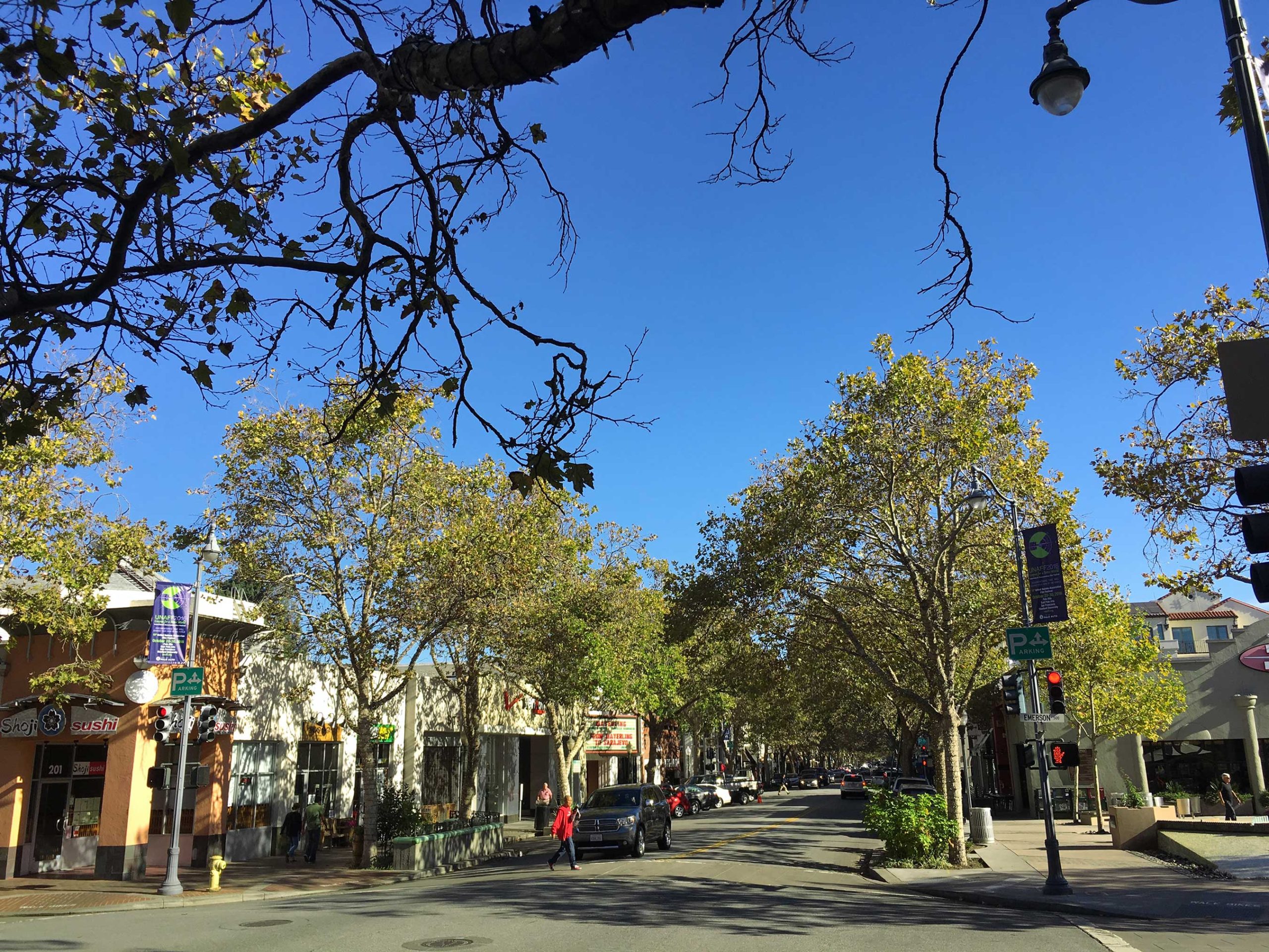 The things I remember about Palo Alto while growing up: - Palo ...