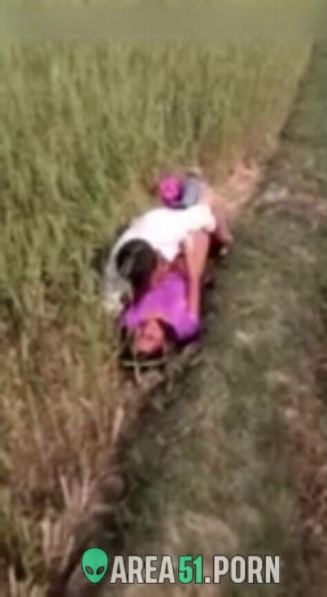 XXX Desi viral, village couple lovers caught adultery in the rice ...