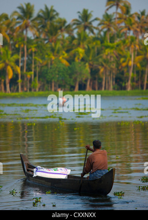 Green palm forest by a small canal, southern Kerala's backwaters ...