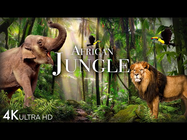 African Jungle 4K - The World's Second-Largest Tropical Rainforest ...