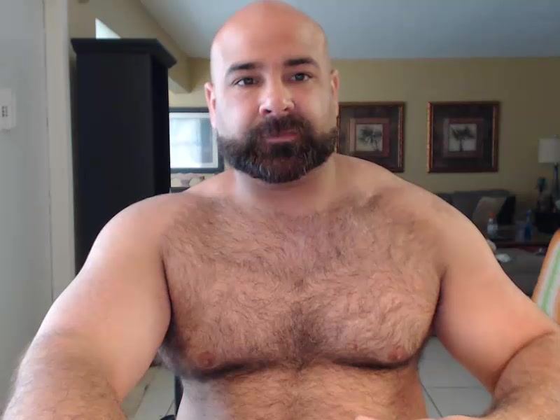 Beefy bear - ThisVid.com