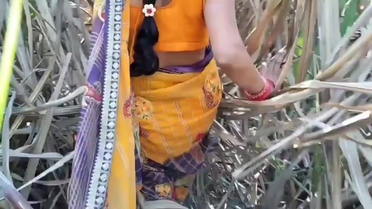 New best Indian Desi Village Outdoor Bhabhi Public Porn Video ...