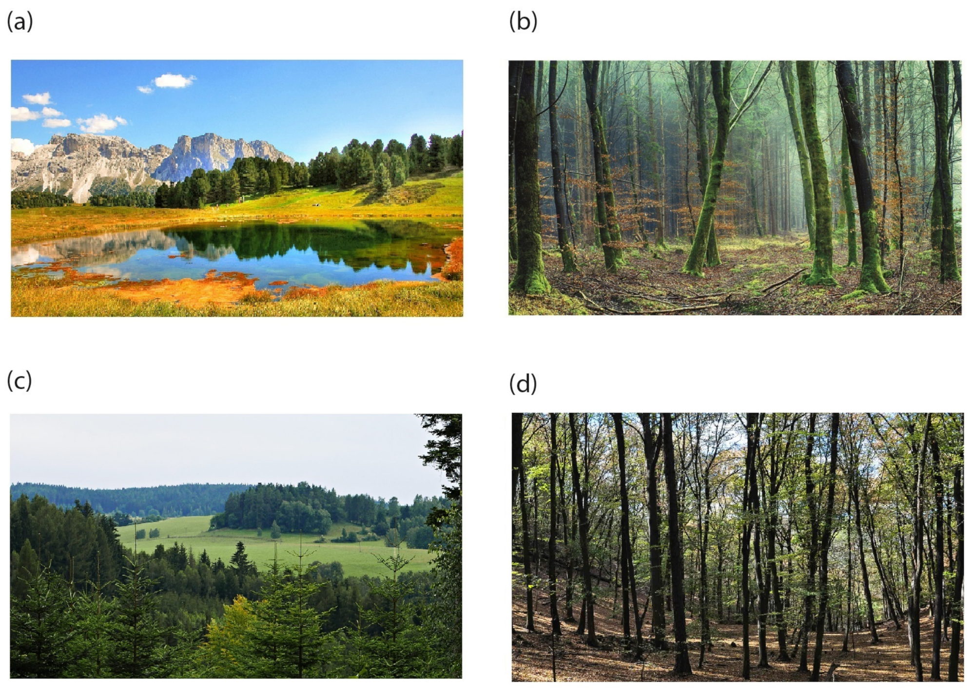 Behavioral Sciences | Free Full-Text | Landscape Preference: The ...