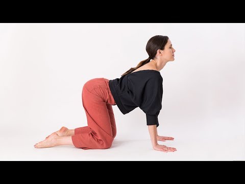 Cat-Cow Yoga Pose - Yoga With Adriene - YouTube