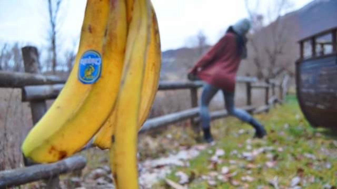 I Cheated on my Girlfriend by Slipping on a Banana Skin ...