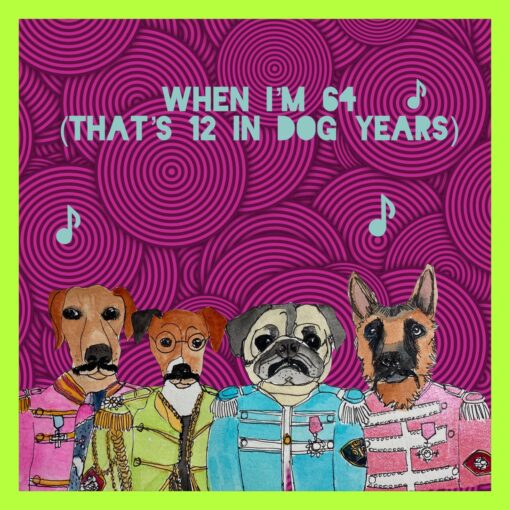 When Im 64 (thats 12 in dog years) Greeting Card – Tammy Walters