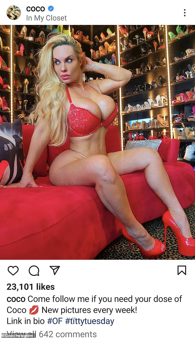 Coco Austin, 43, puts on VERY busty display in a lacey red bra as ...