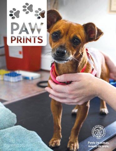 Paw Prints by Hawaiian Humane (Spring 2021) by Hawaiian Humane - Issuu