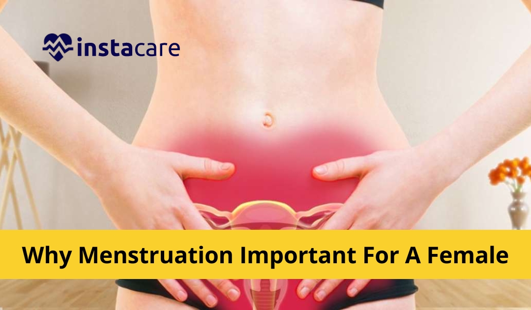 5 Reasons Why Is Menstruation Important For A Female?