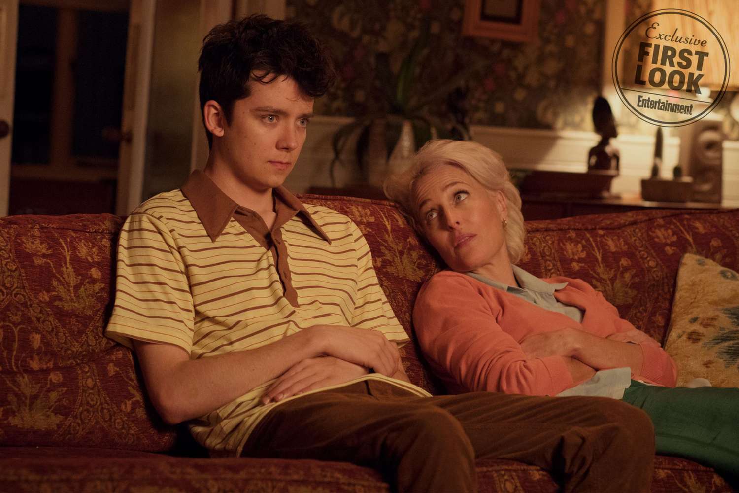 Netflix's Sex Education: See Gillian Anderson, Asa Butterfield in ...