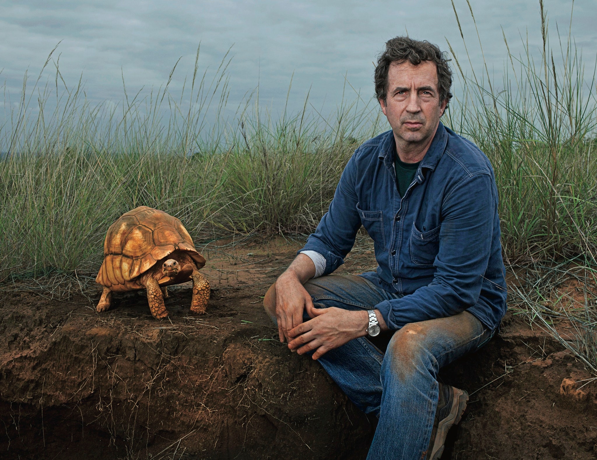 Slow and Steady Saves the Species | The New Yorker