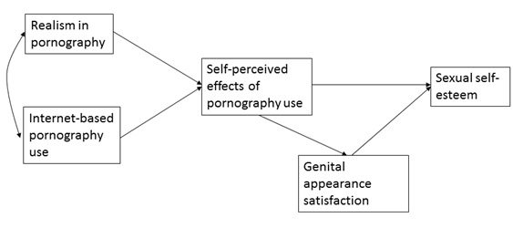 Self-perceived effects of Internet pornography use, genital ...