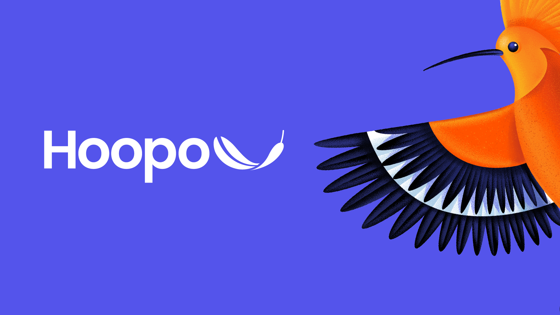 Creative Business Company | Case Study | Hoopo