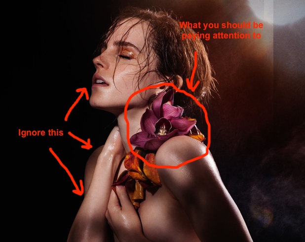 For some reason, Emma Watson thinks getting naked will help the ...