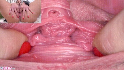 Vaginal Rugae ( Pussy Close Up) Porn Gif | Pornhub.com