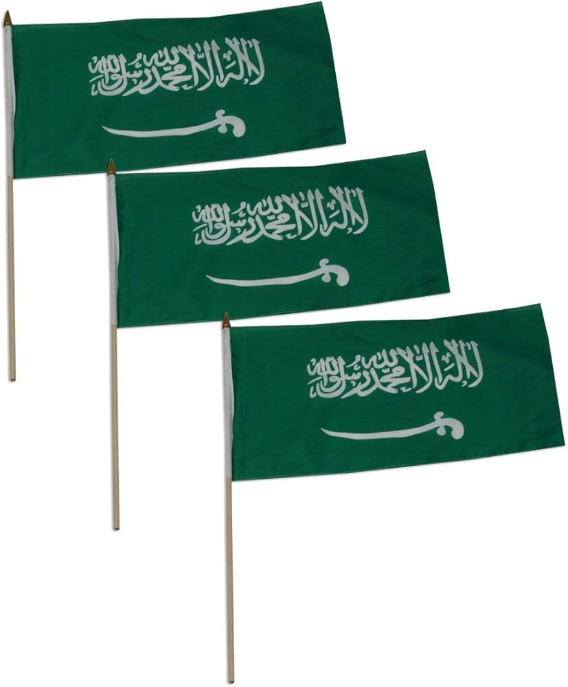 Amazon.com : Saudi Arabia flag 12 x 18 inch - 3 PK : Patio, Lawn ...