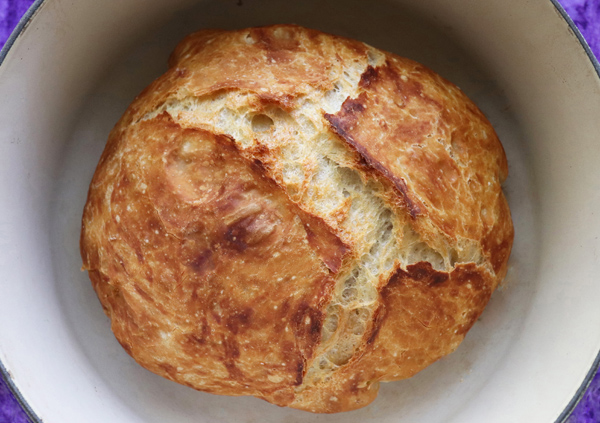 Fast No Knead Bread, Faster Dutch Oven Bread, Crusty Bread | Jenny ...