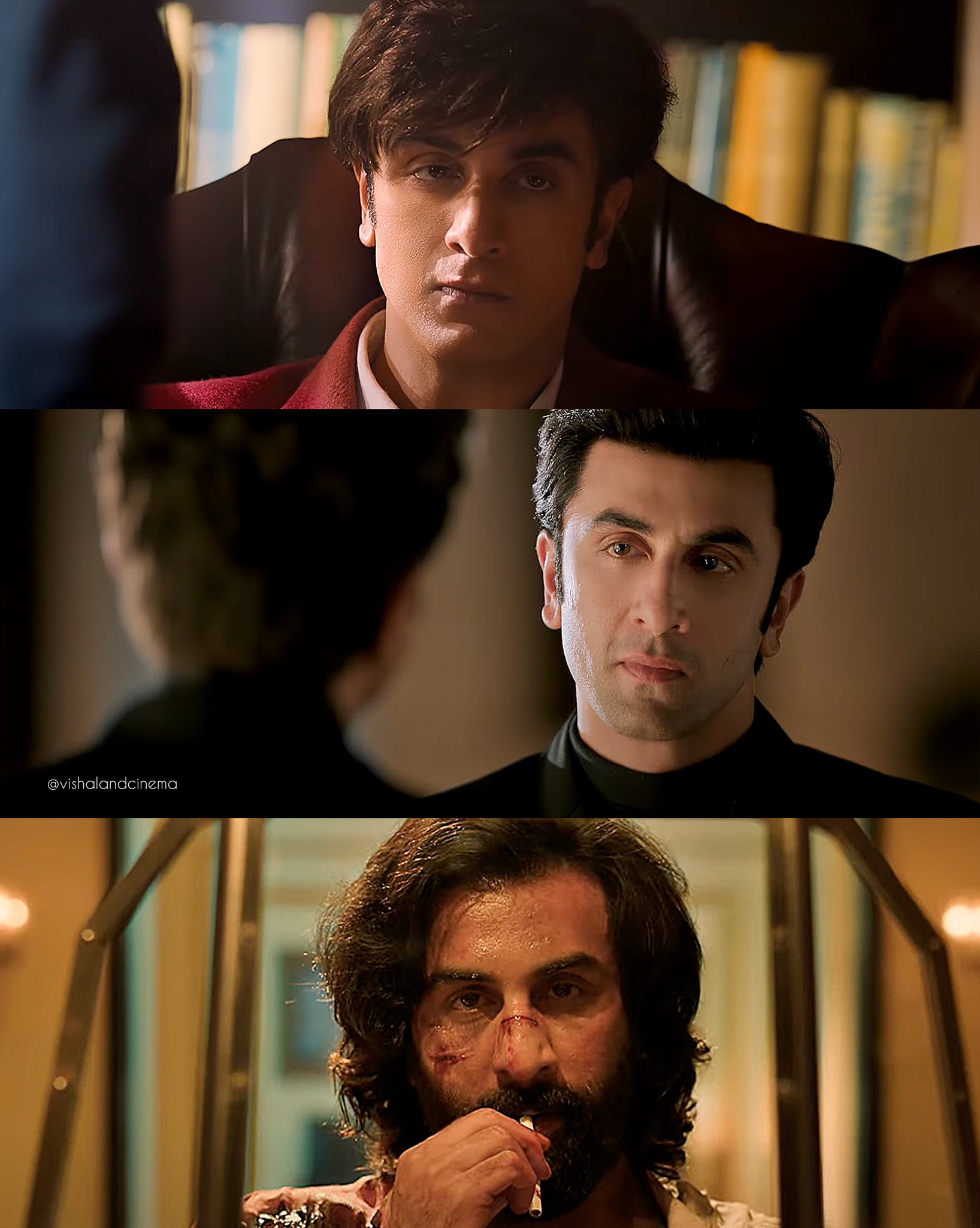 It now makes sense why Vanga went with Ranbir instead of our stars ...